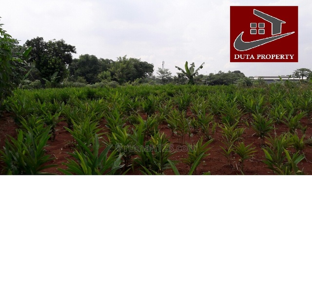 Kavling pinggir jalan cocok untuk investasi di Cikeas Cibubur, Cikeas, Bogor