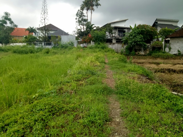 Tanah:1385m2 super langka siap Bangun Di semat canggut Badung Bali, Canggu, Badung