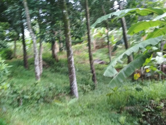 Tanah pribadi view golf cocok untuk vila lokasi deket sentul city, Sentul City, Bogor