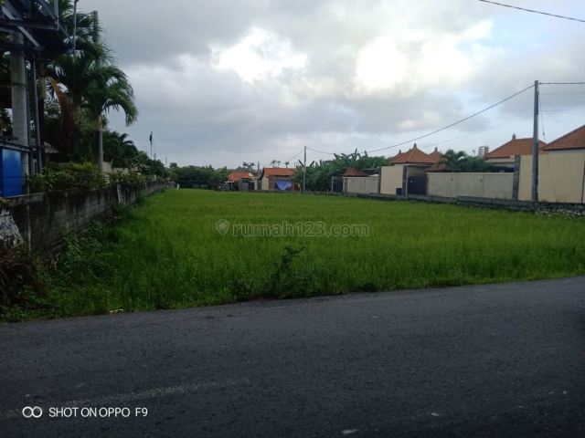 Leasehold 3.800 m2 Land in Berawa Rice Fields View Surrounding, Canggu, Badung