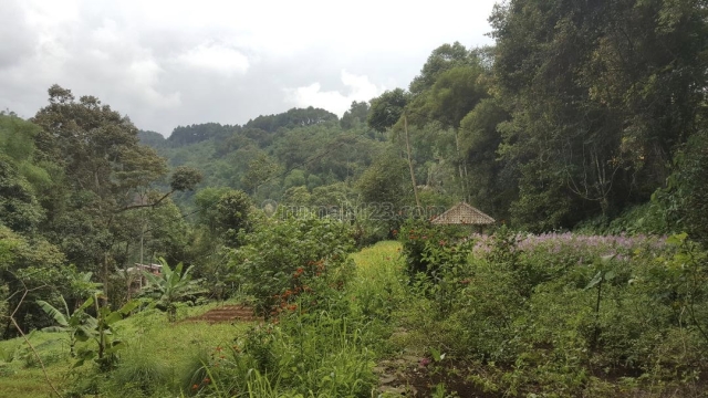 Tanah SUBUR di PEGUNUNGAN yg INDAH, ada MATA AIR dan SUNGAI, Ciawi, Bogor