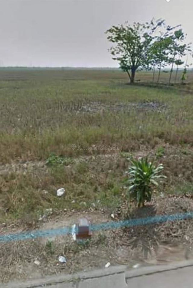 Tanah Zona Kuning perumahan Lokasi Nempel jl. raya desa suka tenang babelan, Sukawangi, Bekasi
