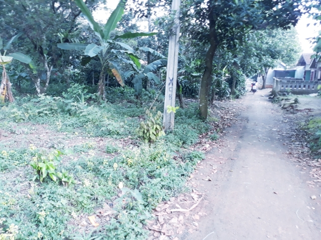 Lahan hunian berupa kebun dekat pasar ciampea bogor, Ciampea, Bogor