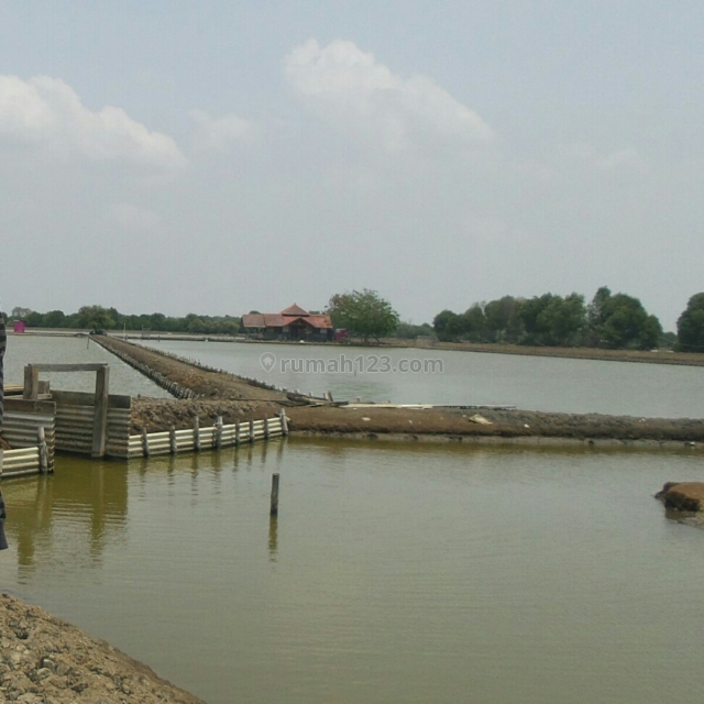 Empang muara gembong bekasi #Komalia 19 PO, Bekasi Barat, Bekasi