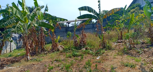 Tanah Kavling di Cikupa, Tangerang, Banten ~ Tanah Industri, Cikupa, Tangerang