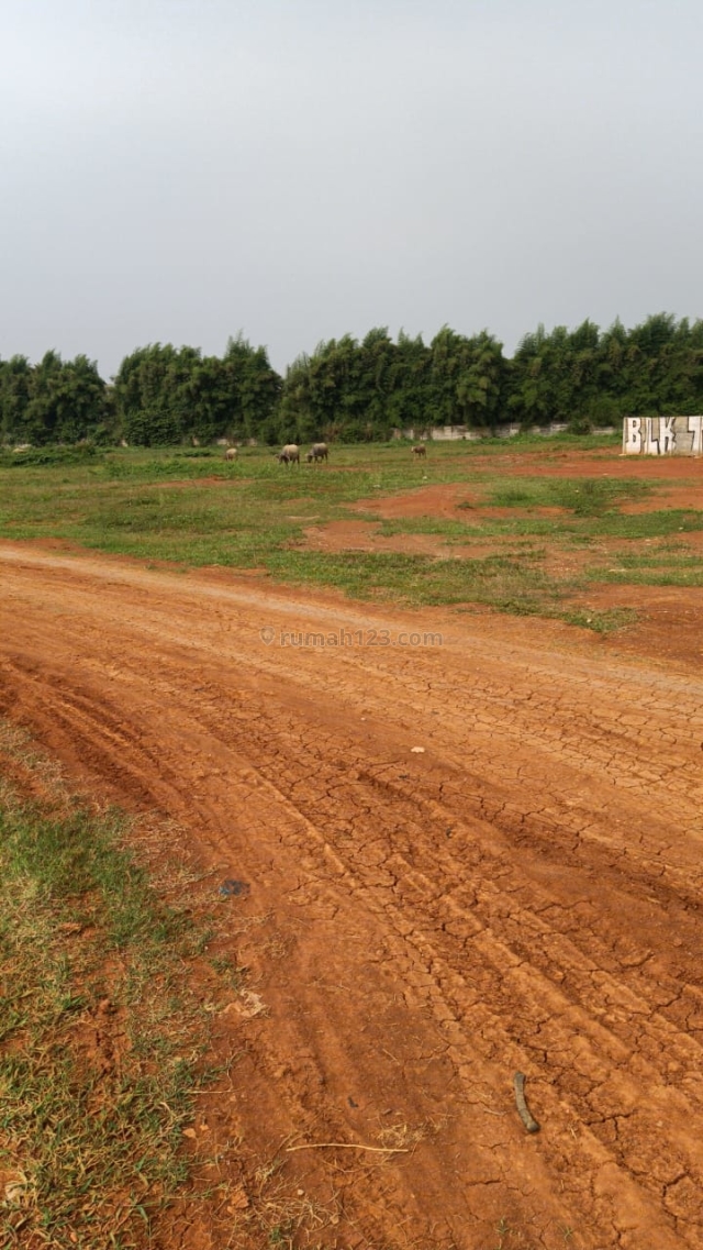 Tanah untuk Perumahan Jalan raya pahlawan Gunung Sindur dekat BSD, Gunung Sindur, Bogor