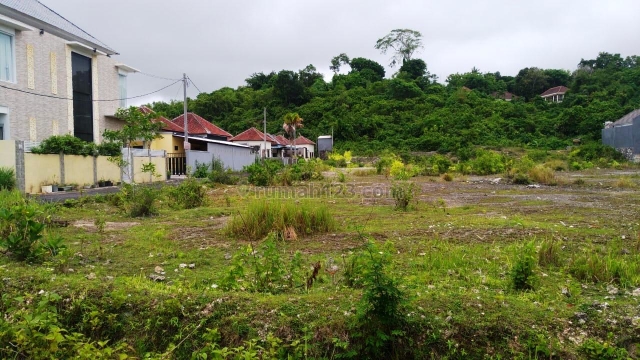Tanah 49,5 Are Cocok Untuk Perumahan, Ungasan, Badung
