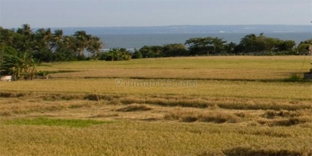 Cemagi Canggu Sea View 300m dari Pantai., Canggu, Badung