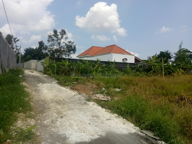 Tanah:1000m2 super murah siap Bangun Di uma Buluh canggu Badung Bali, Canggu, Badung