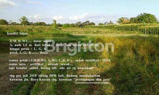 TANAH SIAP BANGUN COCOK UNTUK VILLA, HOTEL, RESORT DEKAT UBUD, Abiansemal, Badung