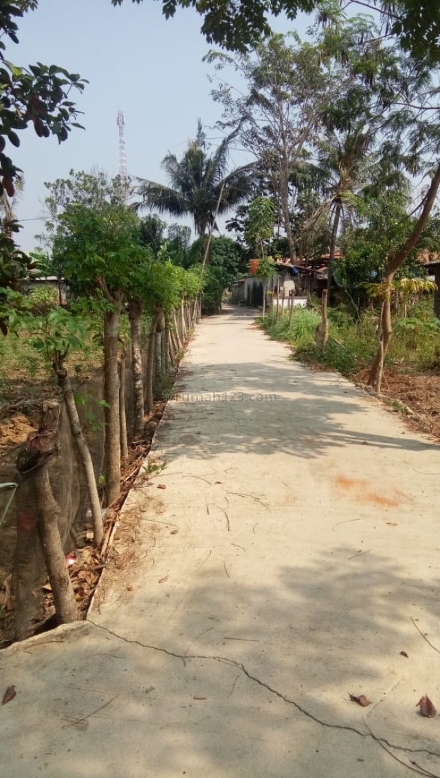 Tanah murah strategis Sukamakmur, Sukawangi Bekasi Jabar, Sukawangi, Bekasi