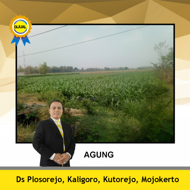 Tanah Mojokerto Area Industrial dan Nol Jalan Propinsi, Kutorejo, Mojokerto