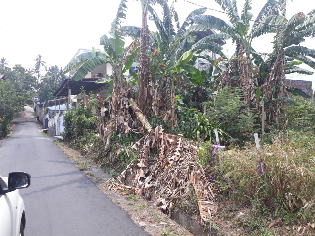 tanah kosong, Malalayang, Manado