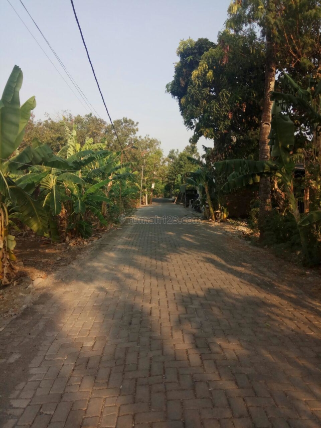Tanah siap Bangun Perumahan di Wolter Monginsidi Pedurungan, Pedurungan, Semarang