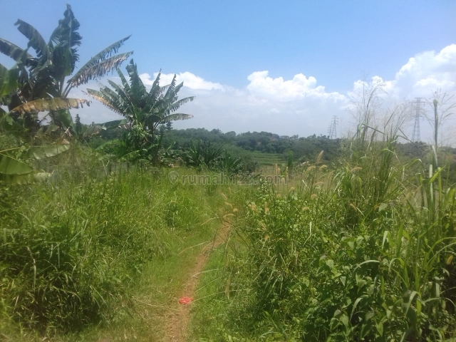 Tanah Strategis Mauk Tangerang, Mauk, Tangerang