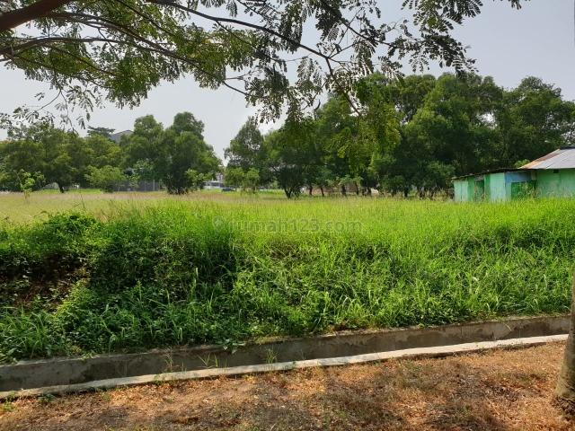 cluster HARMONY(GOLFISLAND) uk 12x20 luas 240meter harga 21jt/meter nepi, Pantai Indah Kapuk, Jakarta Utara