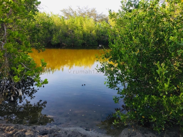 Tanah Pinggir Pantai Palakahembi Bersebelahan Dengan Danau, Pandawai, Sumba Timur