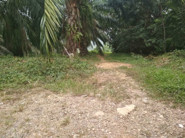 Tanah Luas dan Strategis di Bogor Jawa Barat (ZL), Cisarua, Bogor