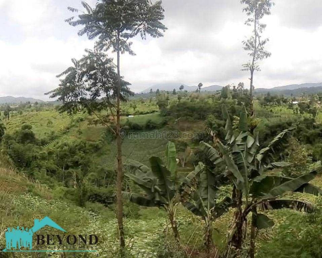 TANAH LUAS DI CIBODAS BANDUNG HARGA NEGO, Pasirjambu, Bandung