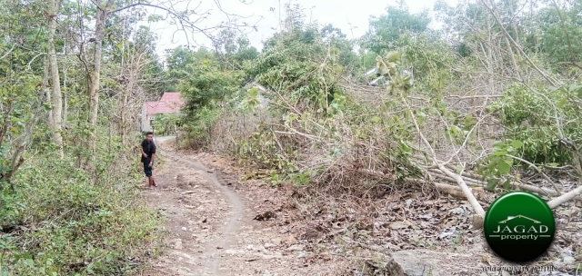 Tanah area Perumahan di Pajangan ( AR 225 ), Pajangan, Bantul