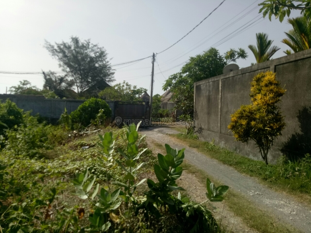 Tanah:550m2 super murah siap Bangun Dekat resto Deus pantai Batu Bolong canggu Badung Bali, Canggu, Badung