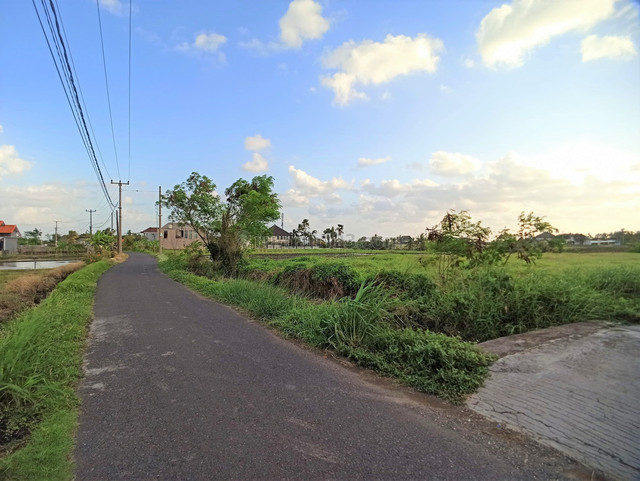 Freehold Land Only 400 Meters From The Beach With Ocean And Paddys View, Canggu, Badung