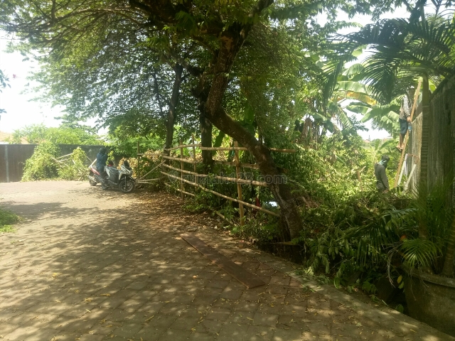 Tanah:864m2 super muraj siap Bangun Di Gang jalak jln semat pantai Berawa canggu Badung Bali, Canggu, Badung