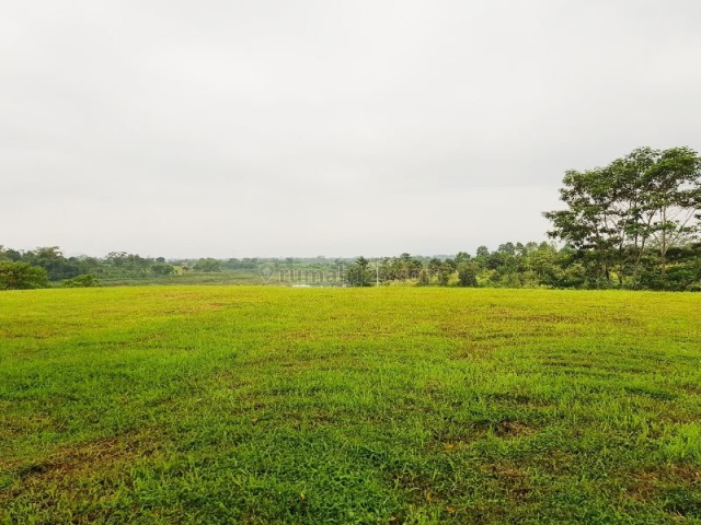 Tanah Luas di Mayang Padmi Kulon Kota Bandung Harga Oke bisa Nego, Kota Baru Parahyangan, Bandung