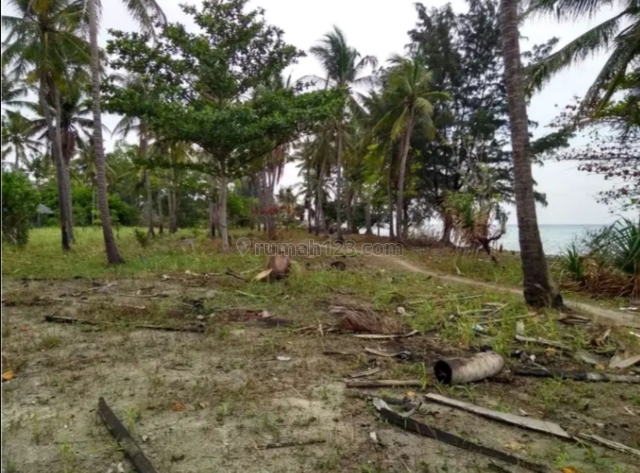 Tanah Pinggir pantai di Pulau Tidung Kepulauan Seribu, Pulau Tidung, Kepulauan Seribu