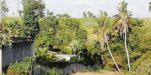 Tanah view sungai dan sawah (greenbelt) di dekat Canggu Bali, Pererenan, Badung