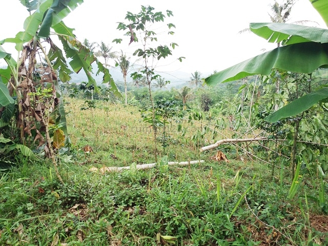 TANAH LUAS BAGUS ARJASARI LEBAKWANGI BANDUNG, Arjasari, Bandung
