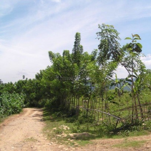 Tanah kebun di.Cisauk Desa Mekar Wangi Bogor, Jonggol, Bogor