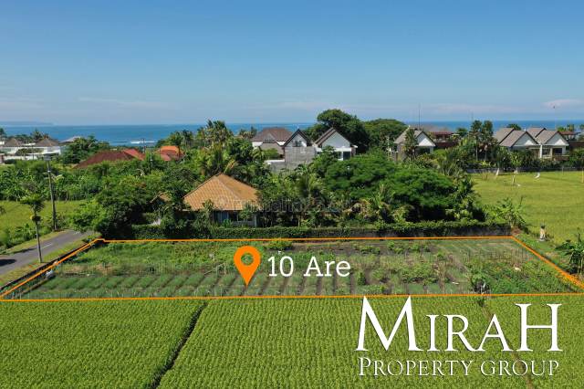 10 Are Hak Milik 250 Meters from the Ocean on Main Road, Cemagi, Badung