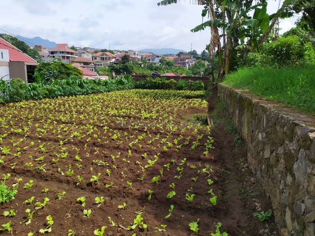 Tanah siap bangun, hak milik, di komplek, Sariwangi, Bandung