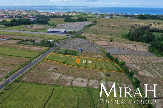 11 Are Freehold Land in Pererenan Near the Beach, Pererenan, Badung
