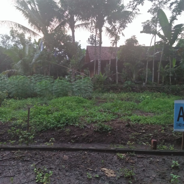 Tanah Kavling Gampong-Sleman dkt Godean, Godean, Sleman