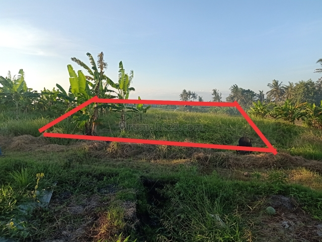 Tanah lokasi strategis cocok untuk villa, Pererenan, Badung