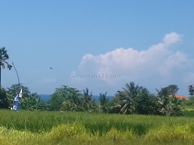 BEAUTIFUL LAND, Munggu, Badung