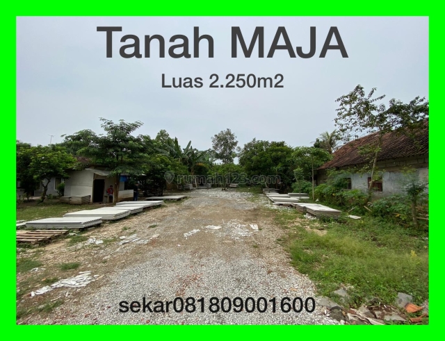 Turun Harga Sekarang Waktunya Beli Kavling Maja Murah Bagus Cuan Untung, Maja, Lebak