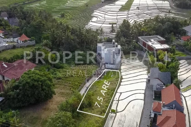 PPL2190 TANAH YANG DIKONTRAKAN PREMIUM DEKAT DENGAN PANTAI DI PERERENAN, Pererenan, Badung