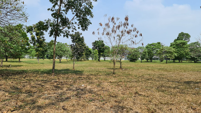 Lahan Terbaik di Lippo Cikarang, Bekasi, Lippo Cikarang, Cikarang