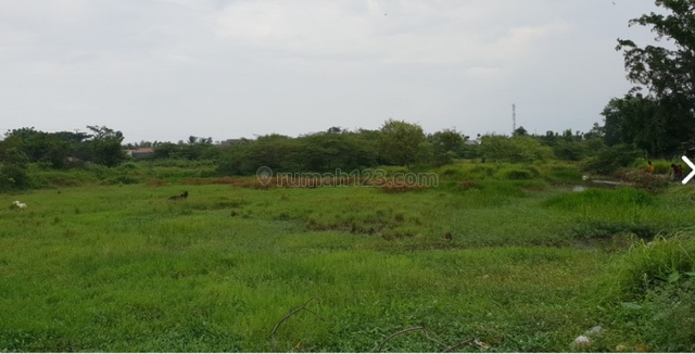 Lahan Luas Pinggir Jalan Raya di Cibarusah, Cikarang, Cikarang, Bekasi
