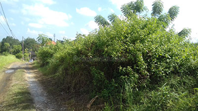 BEAUTIFUL LAND, Canggu, Badung