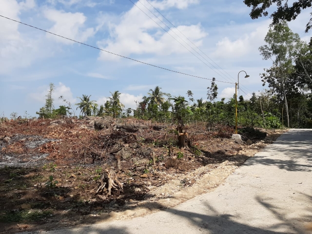 Tanah Murah Sedayu 700 Ribu Legalitas SHM Dekat Jalan Utama, Sedayu, Bantul