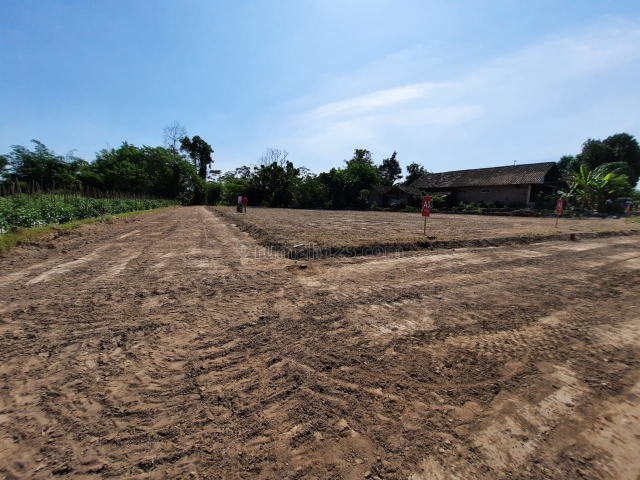 Tanah Berbah Sleman, SHM Pekarangan, Berbah, Sleman