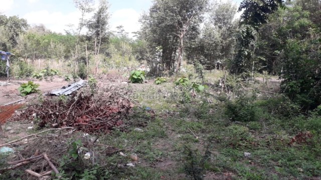 Tanah Kos Kaliurang, Legalitas SHM Pekarangan Tepi Jalan Utama, Ngaglik, Sleman
