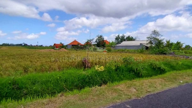 Tanah Pererenan Canggu, Canggu, Badung