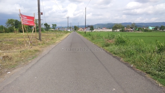Tanah Banguntapan Bantul Mangku Jalan Aspal View Sawah, Legalitas SHM, Banguntapan, Bantul
