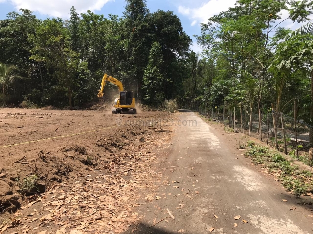 Tanah Murah Area Bimomartani Ngemplak Lahan Matang dan Bersih ;SHM-P, Ngemplak, Sleman