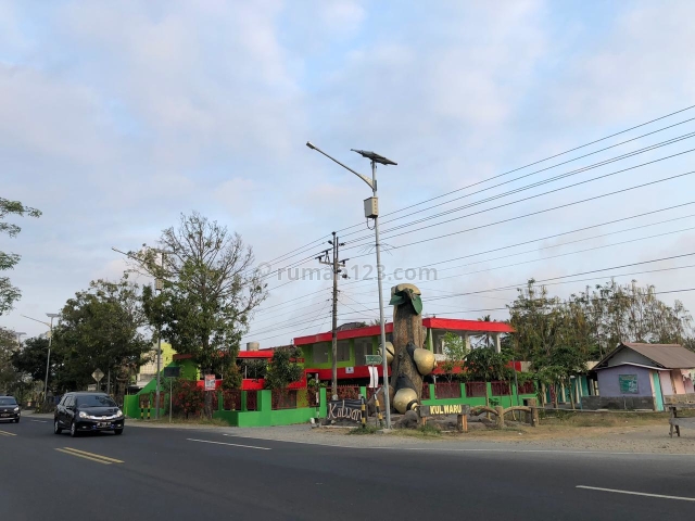 Diskon 25%, Tanah Perumahan 800 m JL Nasional Kulon Progo, Wates, Wates, Kulon Progo